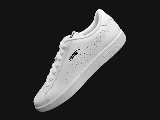 shoe